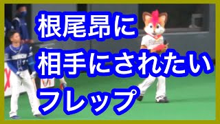 根尾昂に相手にされたいフレップ　北海道日本ハムファイターズVS中日ドラゴンズ　2021.5.28