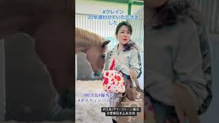 大好きなクレイン🐴愛馬との再会🩷