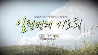 [우리제일교회] 일천번제 기도회 - 성경2독 (2025-2-12)