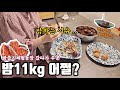 🌰밤을 맛있게 먹는 최고의 방법은? 대환장 왕 보늬밤 만들기🫠 밤보관, 밤요리.