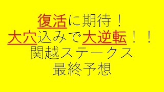 中穴から大穴に　復活V　関越ステークス　最終予想　２０２０オタク芳乃の🏇配信