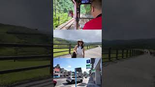 Osmo pocket 3 | DIY Taiwan Solo Travel | #Qingtiangang Grassland, #Taipei, #Jiufen, #Taiwan #travel