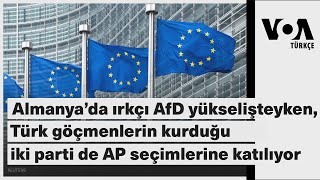 Almanya’da ırkçı AfD yükselişteyken, Türk göçmenlerin kurduğu iki parti de AP seçimlerine katılıyor