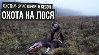 Охота в Тверской области НА ЛОСЯ I Охотничьи истории \\ #5