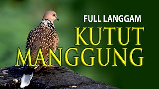 Download Lagu FULL LANGGAM KUTUT MANGGUNG CAMPURSARI KONDANG MUR... MP3 Gratis