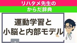 【運動学習】アニメでわかる小脳の働き【プルキンエ・下オリーブ核・】