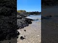 Pure Peace 😍💙calm beach on big island of Hawai'i