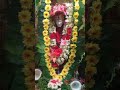 🙏❤️ நானாகவே நானும் இல்லை சாயி நான் கூடவே உந்தன் பிள்ளை சாயி 🙏❤️ sai baba whatsapp status shorts