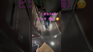 めっちゃうれしい🥰常磐線特急74号はピンク（梅）＃shorts＃常磐線【山口かおり】