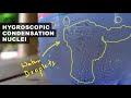 hygroscopic condensation nuclei cloud rain atmosphere