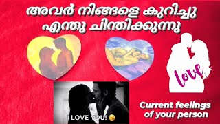 അവർ നിങ്ങളെ കുറിച്ചു എന്തു ചിന്തിക്കുന്നു / മലയാളം tarot