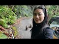 【ひとり旅】屋久島で縄文杉ツアー u0026陶芸体験 ゆったり癒しのvlog🌿