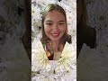 ohlalala white chrysanthemum magic inside ⚪⚪⚪ shorts chrysanthemum flowers asmr satisfying