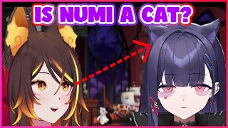 Sinder Wasn't Looking At Numi's Eyes
