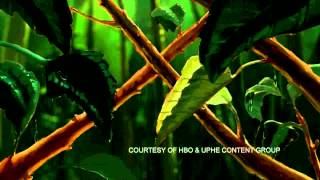 Cobain: Montage of Heck | Rainforest - Brano inedito