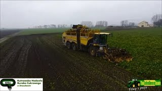 Ekstremalne Kopanie buraków 2017 ☆ ROLBIS ☆ Rübenernte 2017 ☆ Sugarbeet harvesting 2017