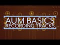 AUM Basics: Recording and Exporting Tracks