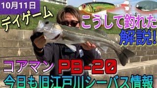 コアマン！パワーブレードＰＢ-20でリベンジ完了。旧江戸川シーバス情報！