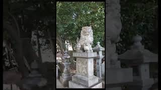 歴史散策・味美白山神社古墳（再訪)