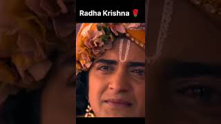 Radha Krishna ka Prem🌹🙏🏻🦚 *Radhakrishna* #ytshorts #motivation #harekrishna #sad#shorts