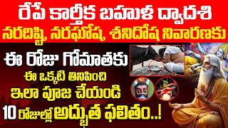 రేపే కార్తీక బహుళ ద్వాదశి ఇలా పూజ చేస్తే రాజయోగం Bahula Dwadashi | Karthika Dwadasi 2024 Date