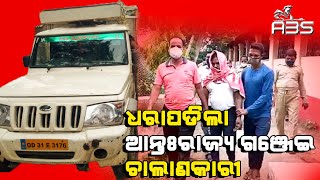 ଧରାପଡିଲା  ଆନ୍ତଃରାଜ୍ୟ ଗଞ୍ଜେଇ ଚାଲାଣକାରୀ |ABS NEWS