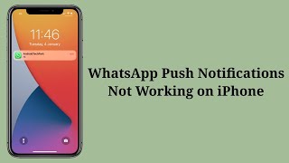 WhatsApp Push Notifications Not Working on iPhone iOS 17 (Fixed)