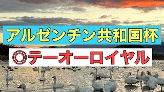 【競馬予想／アルゼンチン共和国杯】2022年アルゼンチン共和国杯◎テーオーロイヤル「母系にロベルト系のスタミナタイプ。叩き2戦目の今回は自信の本命です！」#競馬 #競馬予想 #アルゼンチン共和国杯