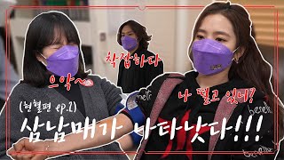 삼남매가 나타났다! (헌혈편 ep.2)