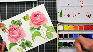Paint a Rose in Minutes Step-by-Step Watercolor Tutorial