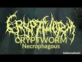 cryptworm necrophagous