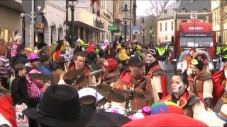 Foaset in Fulda - Rosenmontagszug 2014 - Bäraberg Schiddler