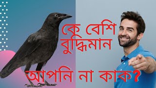 কার বুদ্ধি বেশি আপনার না কাকের |Who is Intelligent You or Crow| Uttorer Hawya