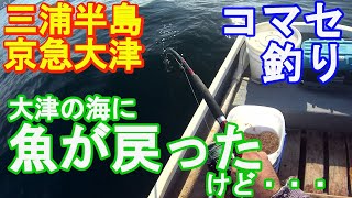 ♯261【京急大津ボート釣り】大アジ狙いでまさかの○○大発生！！隙間にあの大物が…！？