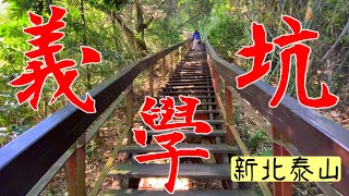 新北泰山的後山美景 :義學坑步道 明志書院後方漫步健行的好地方