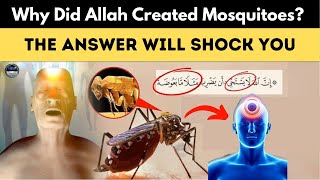 Why Did Allah Create Mosquitoes? The Answer Will Shock You "Miracle of the Quran" | Islamic Lectures