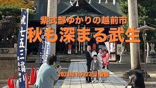 本日の武生(福井県越前市) 深まる秋　総社(ヨコガワと七五三)→上総社(銀杏)→紫式部公園(賑わいと紅葉🍁)→虹🌈他