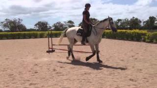 Hugo PVS 4 yr old Jan 2013