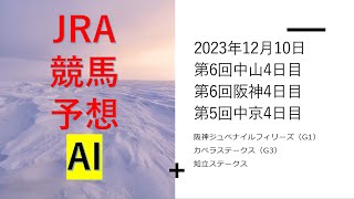 【ゆっくりJRA競馬】平場のAIレース予想あり。2023年12月10日 ■阪神ジュベナイルフィリーズ、カペラステークス、知立ステークス、チバテレ杯、竹田城ステークス