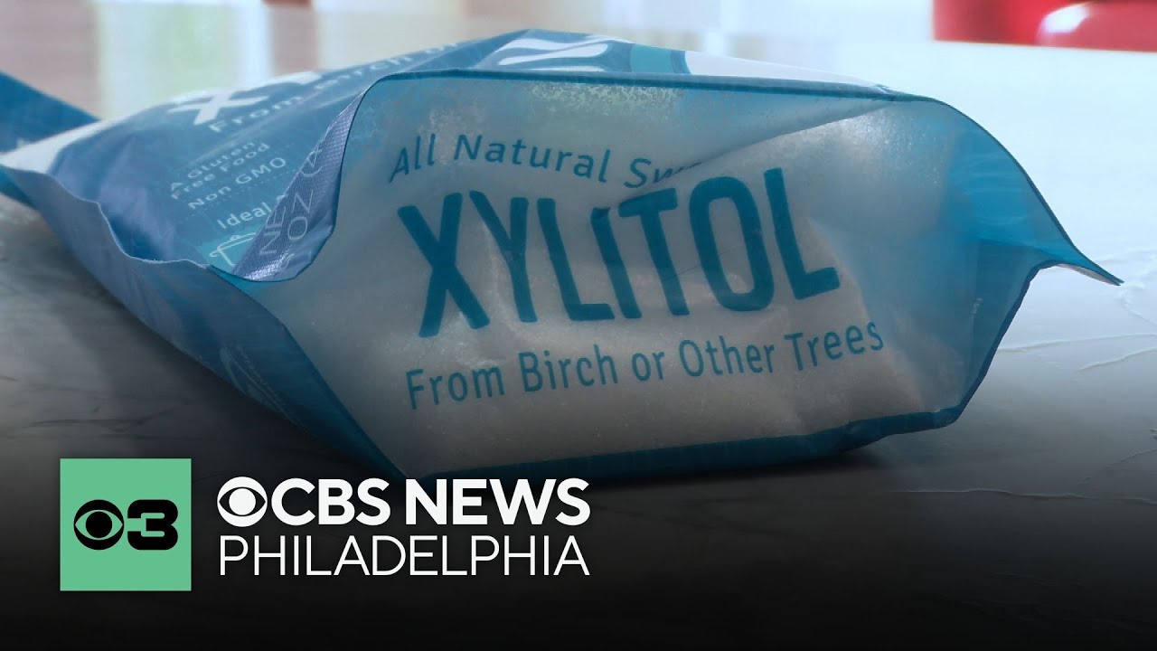 Sugar Substitute Xylitol Linked To Increased Risk Of Stroke, Heart ...