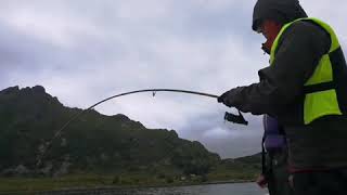 Fishing halibut fjordcamp Norway 2019