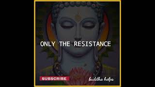 Buddha Quotes On Life 🙏❤️ That Can Change Your Life 💚💫 Buddha Whatsapp Status | Buddha Helps #Shorts
