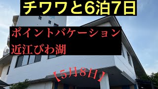 チワワと6泊7日【ポイントバケーション】