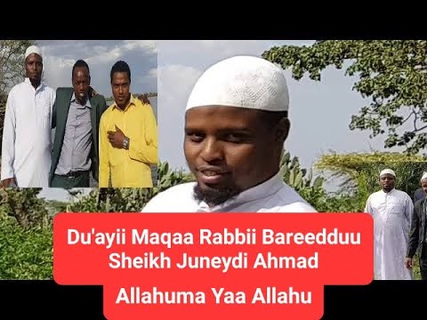 Zikrii Fi Du Aayii Bareedduu Sheikh Juneydi Ahmad Birraamedia1
