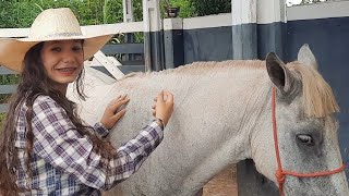 CORRENDO CONTRA O TEMPO PARA TENTAR SALVAR MEU CAVALO 🐎