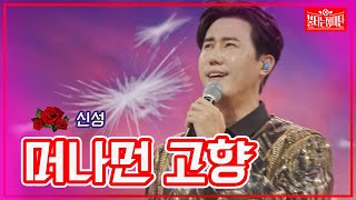 【클린버전】신성 - 머나먼 고향| 🌹불타는 장미단🌹230919