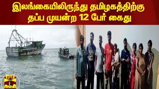 இலங்கையிலிருந்து தமிழகத்திற்கு தப்ப முயன்ற 12 பேர் கைது |