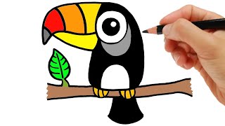 HOW TO DRAW A TOUCAN EASY STEP BY STEP