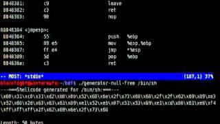 Bypassing The Linux Kernel Aslr And Exploiting A Buffer Overflow Vulnerable Application With Ret2Esp