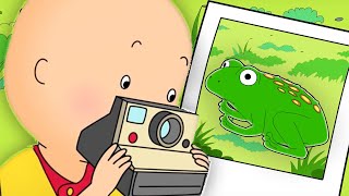 Caillou und die Tierfotos | Caillou auf Deutsch